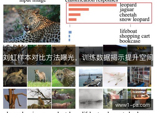 刘虹样本对比方法曝光,训练数据揭示提升空间 刘虹样本对比方法曝光,训练数据揭示提升空间